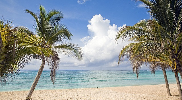 On The Beach Shares Slide as Profit Forecast Falls Short of Expectations