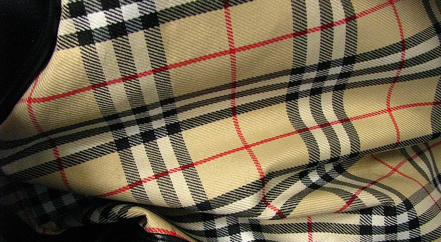 Burberry’s Turnaround Strategy Shows Early Momentum in Interim Results