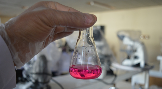 Johnson Matthey Delivers Robust Half-Year Results as Transformation Advances