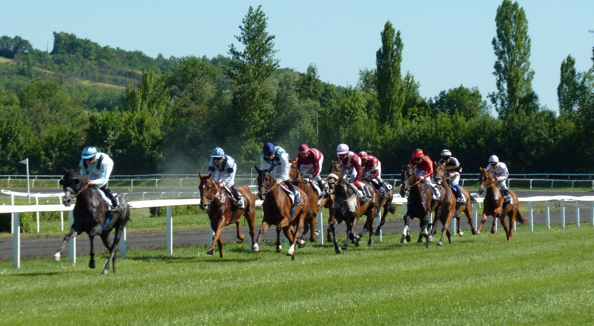 Horse racing