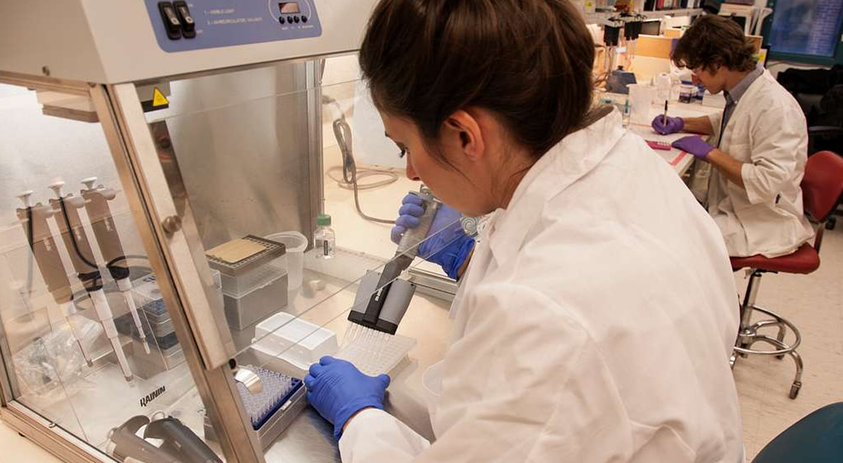 Medical researcher